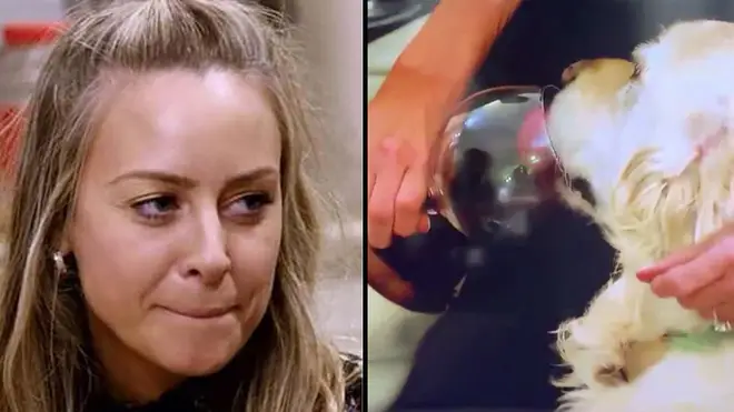 Love Is Blind contestant Jessica Batten has come under fire after letting her dog drink wine from the same glass as her. 