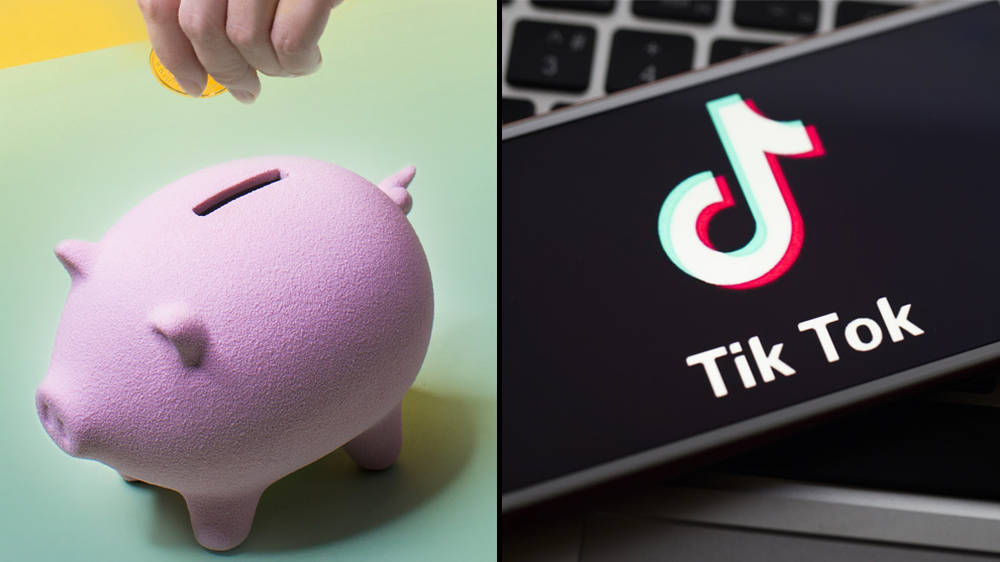 CloutLog: How do you use it to make money from TikTok and is it safe