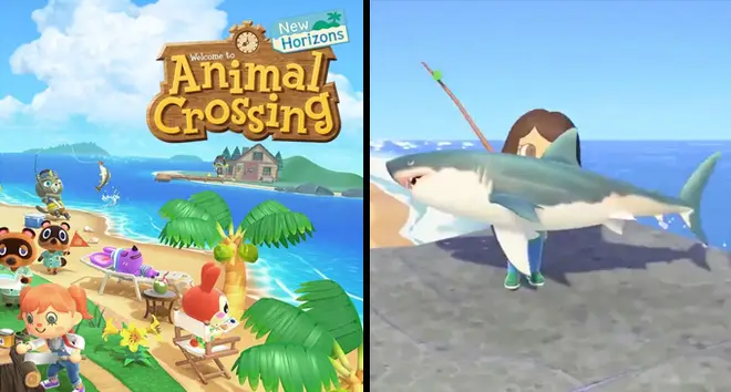Animal Crossing New Horizons Memes