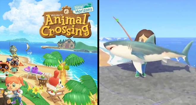 Animal Crossing New Horizons Memes