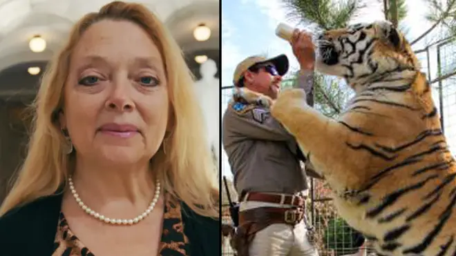Carole Baskin was trying to get Joe's 'roadside zoo' shut down for the mistreatment of animals.