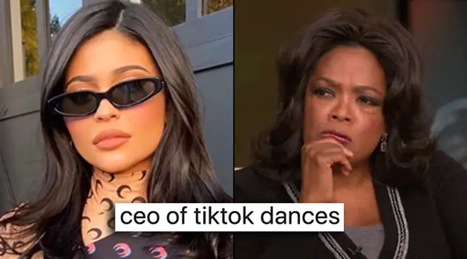 What does CEO mean on TikTok?