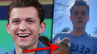 Tom Holland couldn't find any eggs so he bought 3 chickens instead