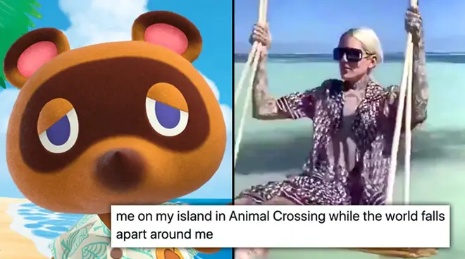 Animal Crossing memes: The best tweets about New Horizons