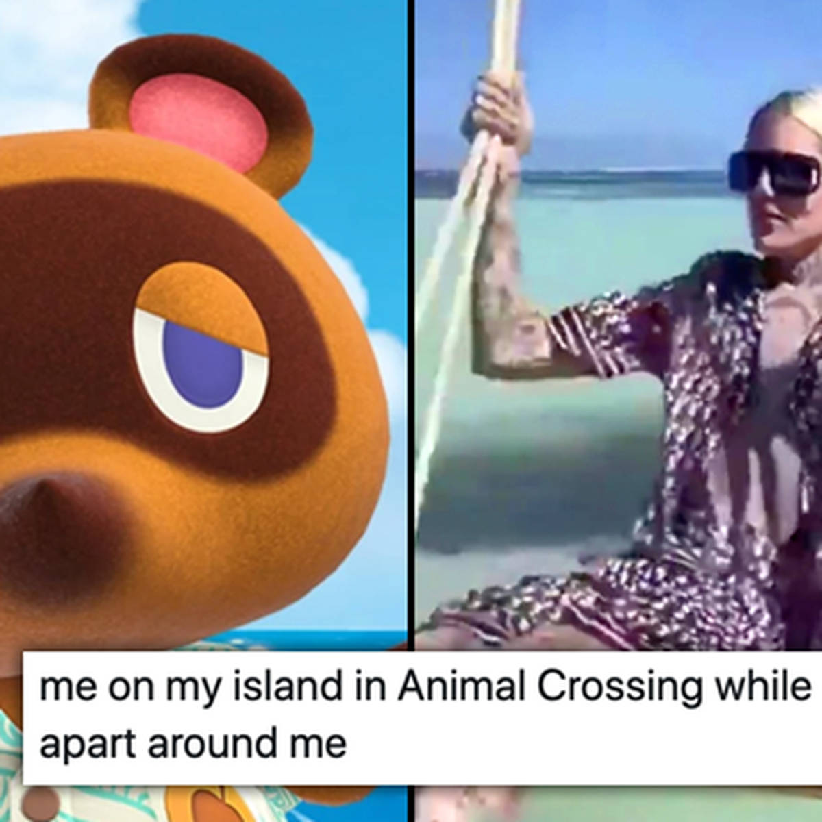 The best Animal Crossing: New Horizon memes - PopBuzz