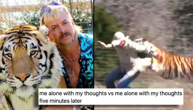 Joe Exotic hand-reared over 1,200 tigers and big cats at his roadside zoo.