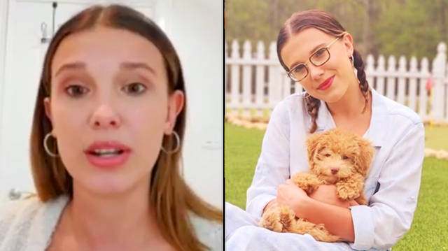 Millie Bobby Brown says "really bad panic attacks" inspired her to get a therapy dog