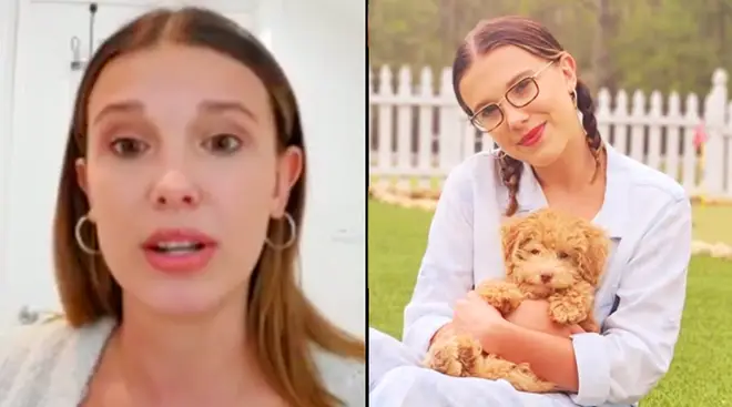 Millie Bobby Brown says "really bad panic attacks" inspired her to get a therapy dog