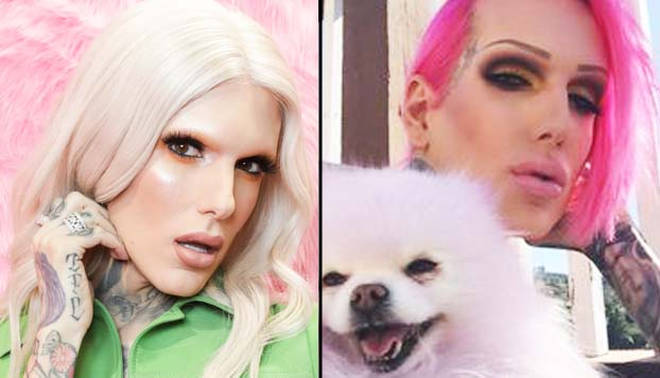 Jeffree is adding a fifth Pomeranian to his family, while he has free time during lockdown.