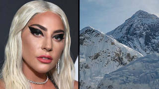 Lady Gaga raised over $35million for coronavirus relief, and the Himalayas have been seen for the first time in three decades.