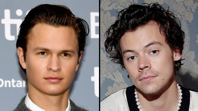 Ansel Elgort faces backlash after calling a Harry Styles fan "crazy"