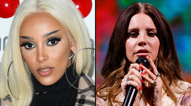 Doja Cat's comment on Lana Del Rey's Instagram leaves fans confused