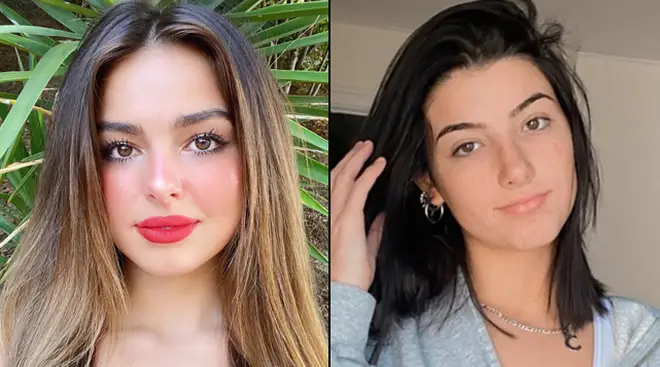 TikTok star Addison Rae apologised to Charli D&squot;Amelio after she previously like "shady" comments