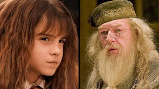 Hermione and Dumbledore from Harry Potter films