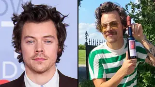 Harry Styles just got a moustache and the entire internet is living for it