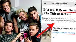 What does Reason Being mean? One Direction fans are speculating...
