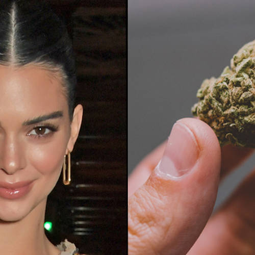 Kendall Jenner is a stoner now