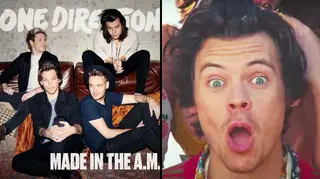 One Direction fans start campaign to get What a Feeling to Number 1