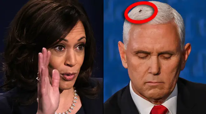 The Mike Pence fly and Kamala Harris facial expressions dominated the social conversation