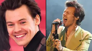Harry Styles Golden video: What do the lyrics mean?