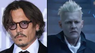 Johnny Depp exits Fantastic Beasts franchise, forced to resign by Warner Bros