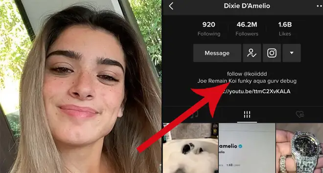 Dixie D'Amelio's TikTok account has been deleted by hackers.