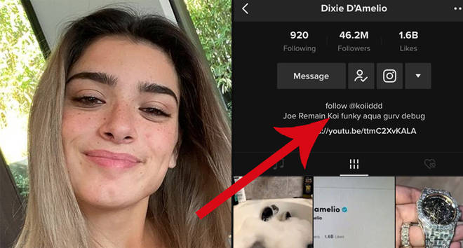 Dixie D'Amelio's TikTok account has been deleted by hackers.