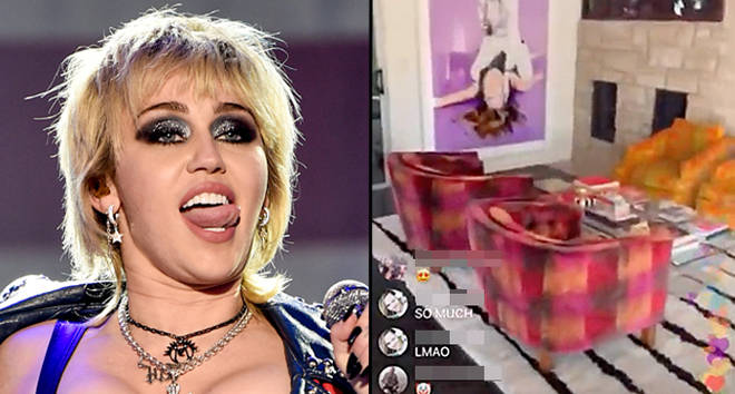 Miley Cyrus uses sex toys to decorate her home