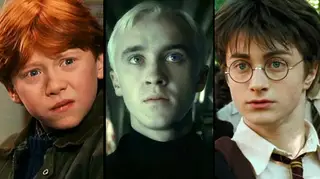 Which Harry Potter wizarding family do you belong in?