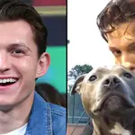 How well do you know Tom Holland?