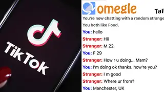 Concerns have been raised over the safety of Omegle