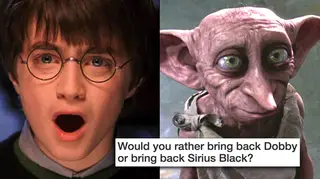 Harry Potter Would You Rather quiz