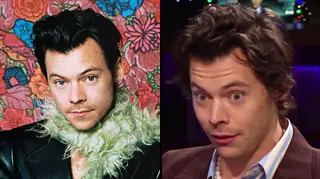 QUIZ: The hardest 'Would You Rather' Harry Styles edition