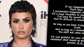Demi Lovato says it's okay if you accidentally misgender them.
