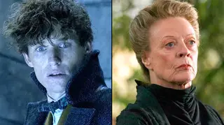 Professor McGonagall's appearance in Fantastic Beasts: The Crimes of Grindelwald doesn't make any sense