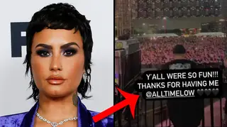 Demi Lovato called out for performing at Sad Summer Fest with All Time Low