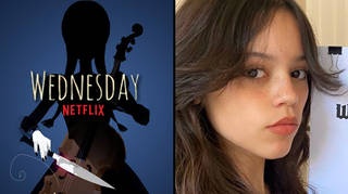 Netflix's Wednesday: When will it be released?