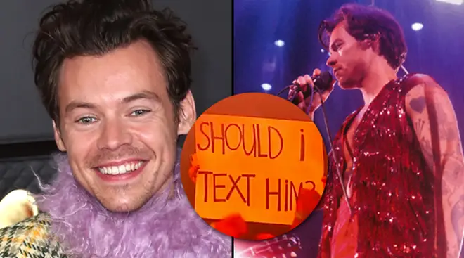 Harry Styles gives dating advice to fan at Saint Paul concert