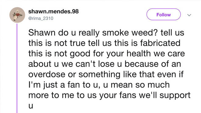 Shawn Mendes weed fan complaint
