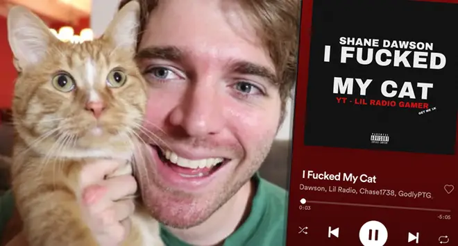 Shane Dawson's Spotify got hacked and a song called 'I Fucked My Cat' was released on his account