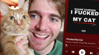 Shane Dawson's Spotify got hacked and a song called 'I Fucked My Cat' was released on his account