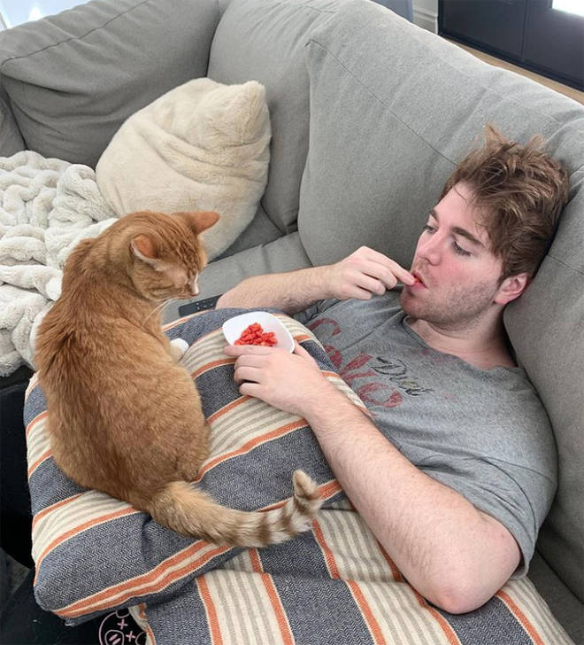 Shane Dawson and his cat Cheeto