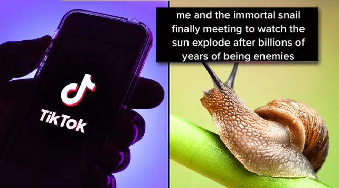 TikTok snail memes explained: How the Immortal Snail meme started