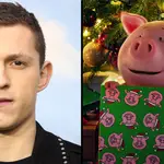 Tom Holland voices Percy Pig in the M&S Christmas 2021 advert