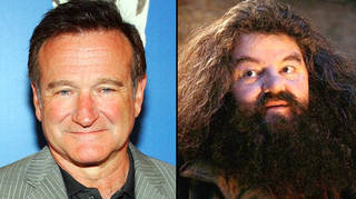 The story of why Robin Williams was rejected from playing Hagrid and Lupin in Harry Potter
