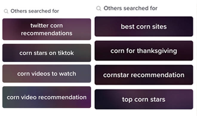 Searches for 'Corn' on TikTok go viral