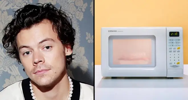No, Harry Styles did not steal a microwave while on tour.