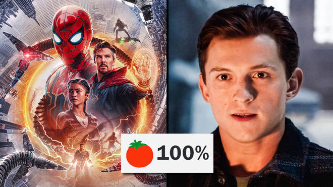 Spider-Man: No Way Home has a 100% Rotten Tomatoes rating