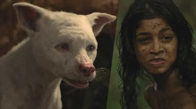 Bhoot Mowgli Netflix death