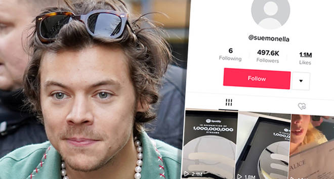 Harry Styles fans think they've discovered his secret TikTok account